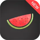Melon VPN logo